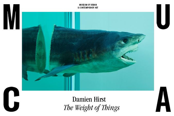 Damien Hirst The Weight Of Things Exhibition Muca Museum Of Urban