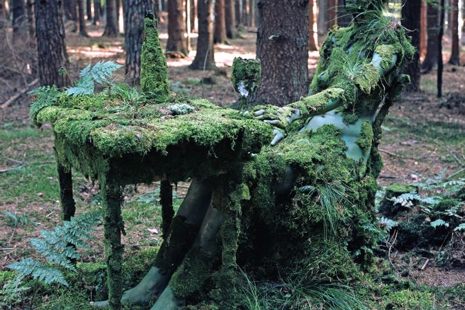 Coin de forêt à Schnaitsee