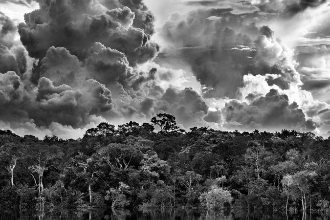 Archipel des Mariuá-Flusses. Rio Negro. Bundesstaat Amazonas, Brasilien