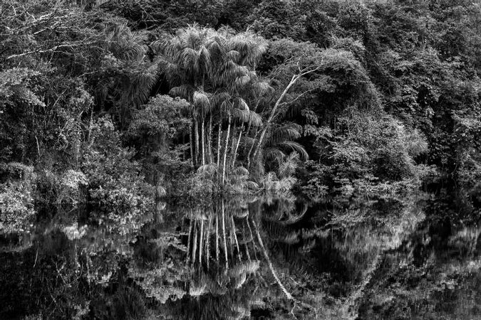 Fluss Jau. Bundesstaat Amazonas, Brasilien