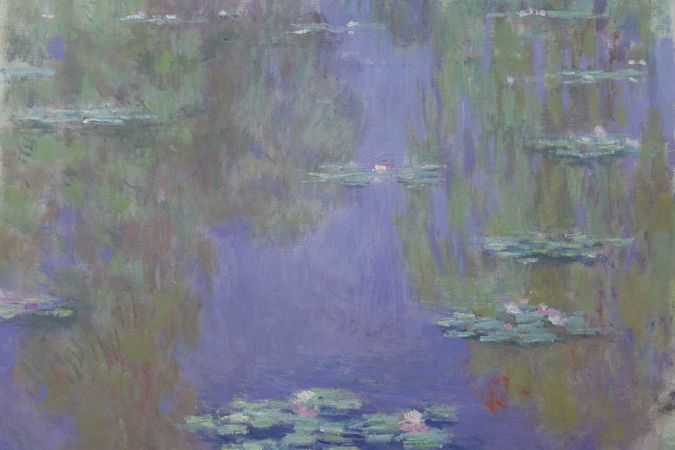 Water lilies