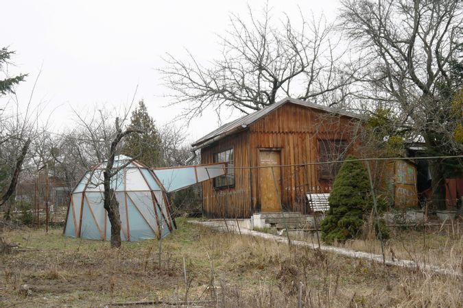 Jardin en hiver