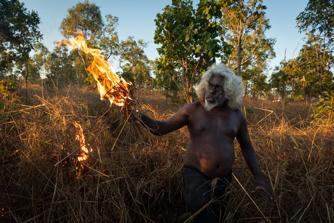 Rette die Wälder mit Feuer