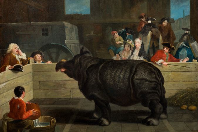 Il Rinoceronte (Clara in enclosure, with cart)