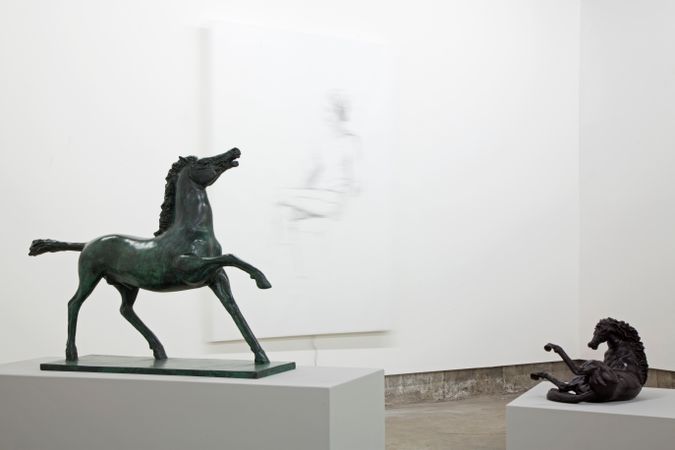 Musée : chevaux et juments, chevaux chevaux