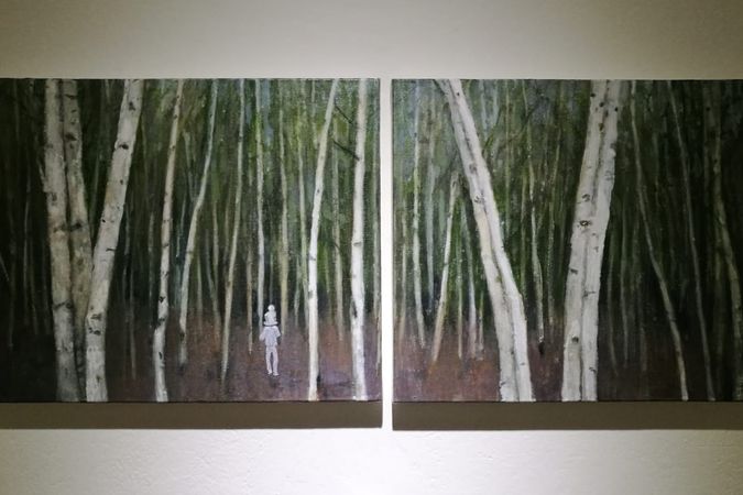 Birch forest