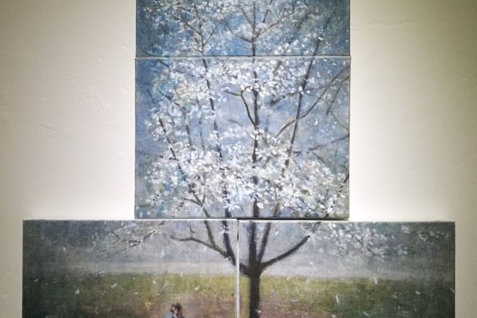 spring (magnolia)