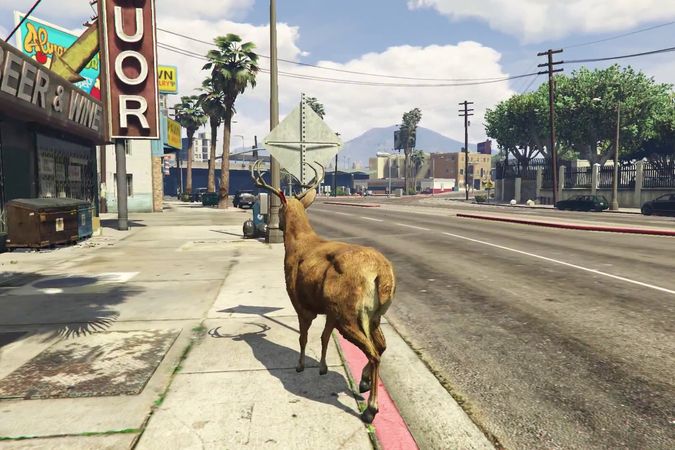 San Andreas Streaming Deer Cam