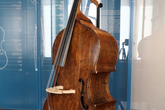 Contrabass "Biondo" (formerly Colonna)