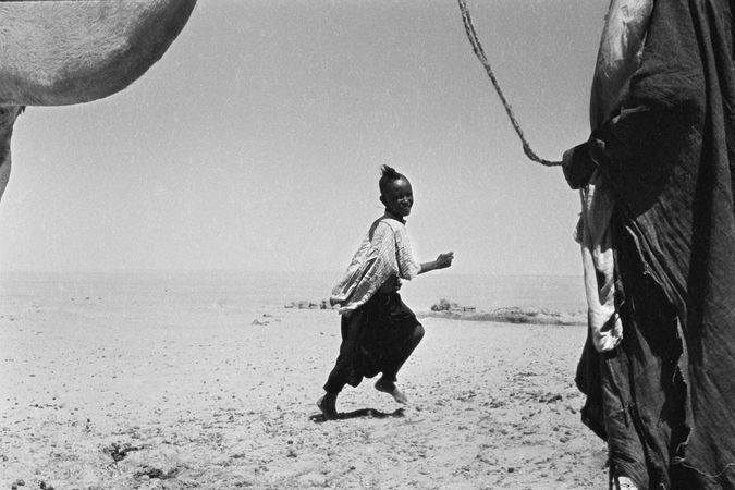 Nomadic shepherds in the Sahara