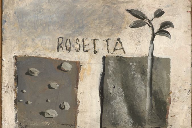 roseta