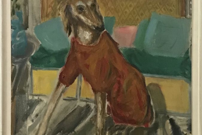 SECTION 8 - 1 - Dog with red coat