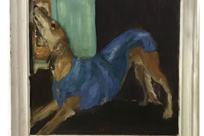 SECTION 8 - 2 - Dog with blue coat