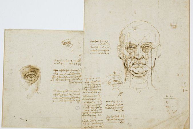 Studies of proportions of the face and eye