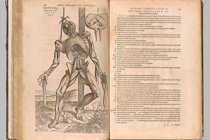 De Humani Corporis Fabrica Libri Septem