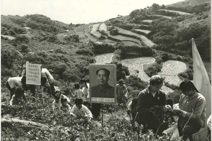 Des membres de l'Armée populaire de libération (APL) aident les paysans à récolter des herbes médicinales dans les montagnes de la province de Kwangtung