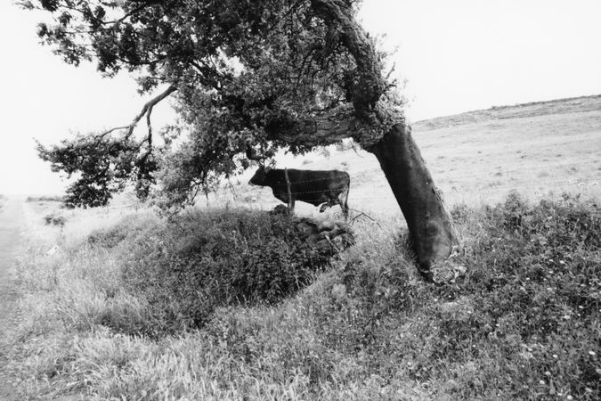 Sardinien, Mai 1974