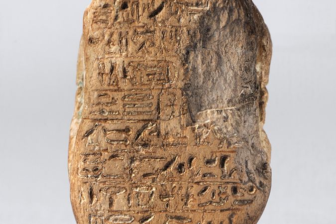 Coléoptère Amenhotep III