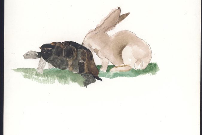La tortuga y la liebre