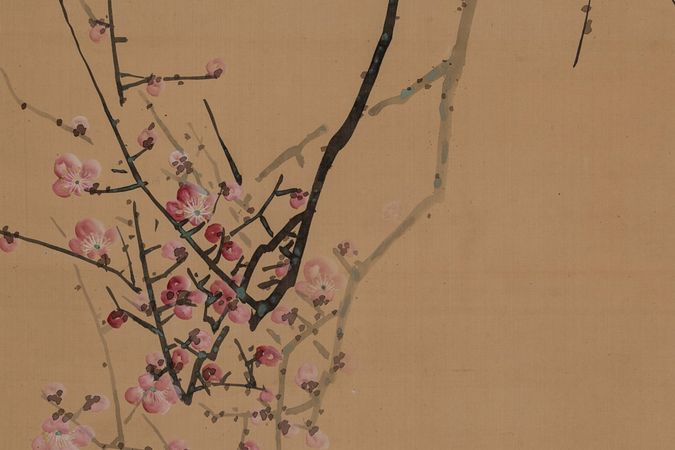 Rossignol japonais, sur une branche de prunier rouge