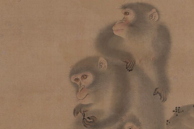Famille de singe