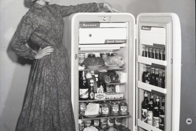 Kühlschrank mit Modell