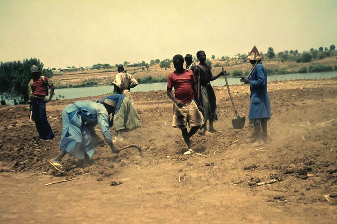 Vorbereitung des Landes, Genossenschaft von Somankidi