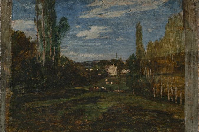 Pasture among the poplars