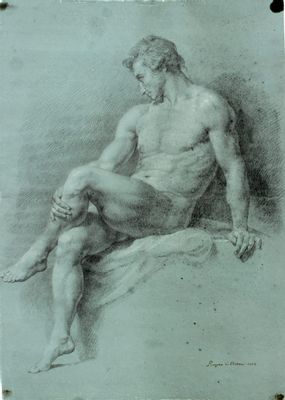 Desnudo varonil