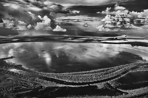 Anavilhanas, bewaldete Inseln des Río Negro. Bundesstaat Amazonas, Brasilien