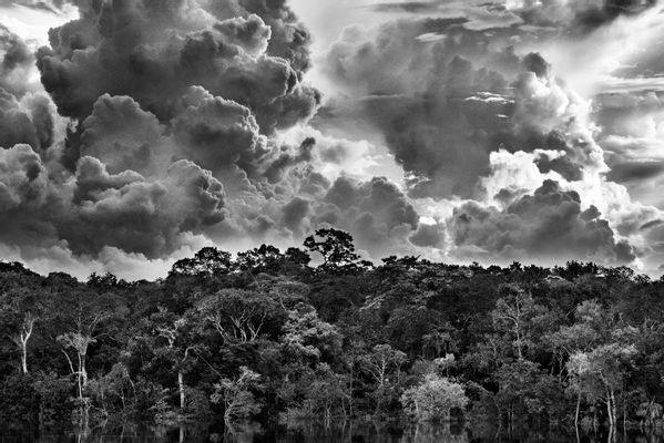 Archipel des Mariuá-Flusses. Rio Negro. Bundesstaat Amazonas, Brasilien