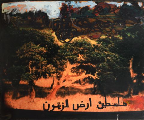 Palestina terra d'olivo