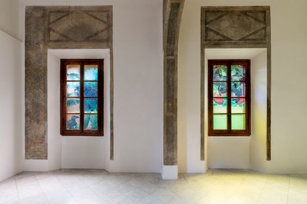 Nur Vögel, die am höchsten fliegen, können die Fenster zerbrechen