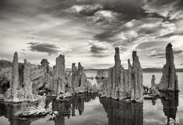 lago mono