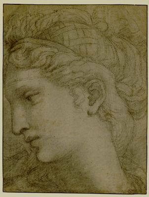 Head of a Woman in the Wedding Feast of Cupid and Psyche