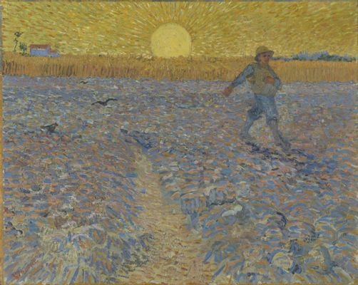 The sower