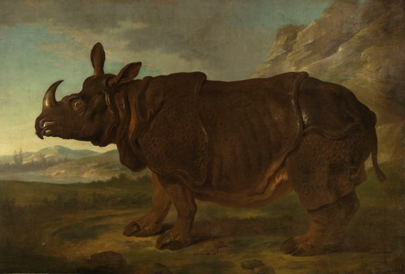 Rhinocéros