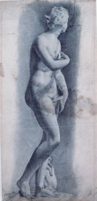 Venus (Akademie)