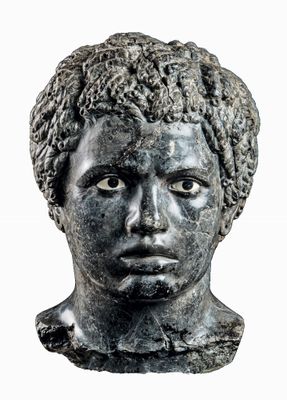 Head of a young African
