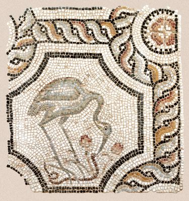 Fragment eines Bodens und Mosaiks