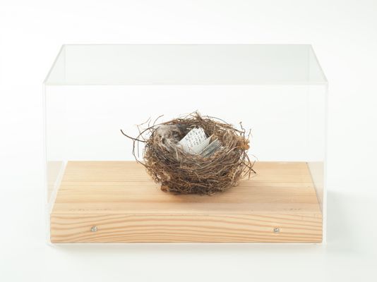 nest book