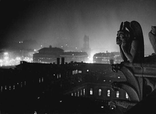 Night view of Paris from Notre-Dame - The "devil" gargoyle