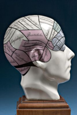 Anatomisches Kopfmodell mit phrenologischer Karte