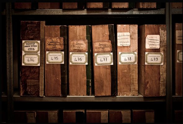 Détail des collections d'archives de l'hôpital psychiatrique San Lazzaro