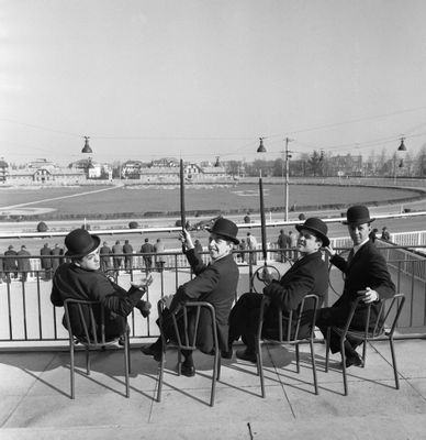 Los Búhos en el Hipódromo de San Siro