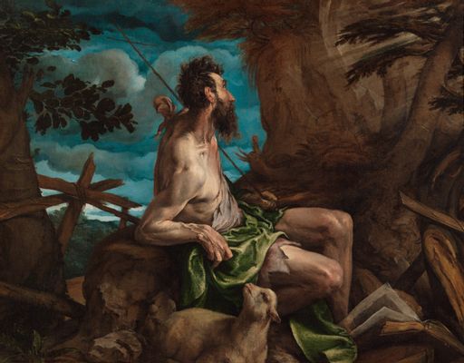 Saint John the Baptist in the desert