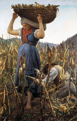 La cosecha del maíz
