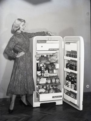 Refrigerador con modelo