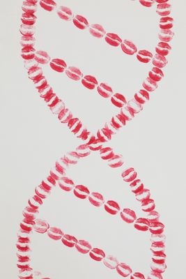DNA-Kuss