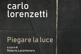 Carlos Lorenzetti. doblar la luz